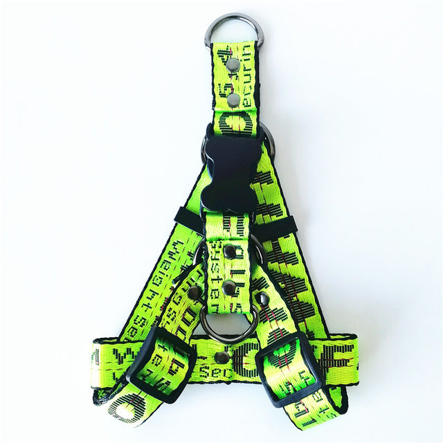 Gold Chain Nylon Dog Collar and Leash Set for Pets