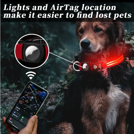 Waterproof LED Pet Luminous Collar