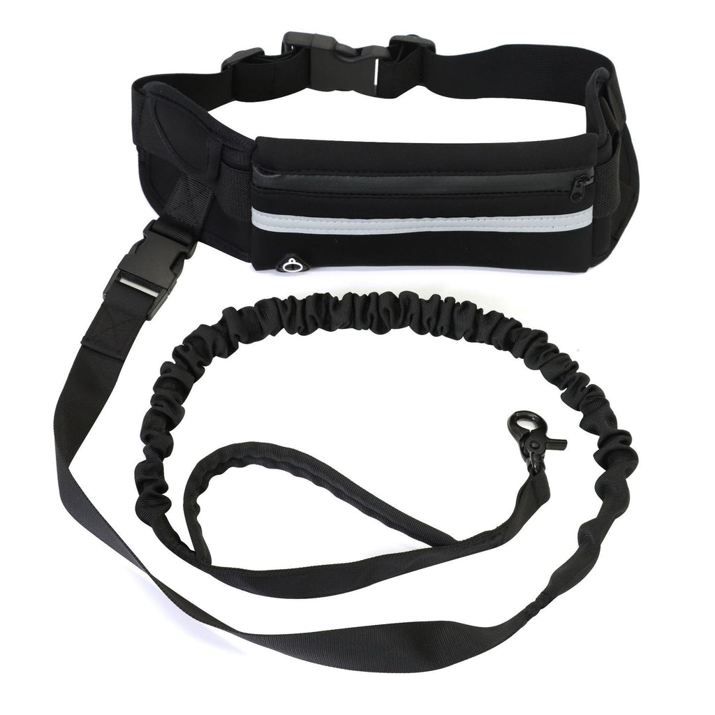 Pet Purse Leash for Dog Walking