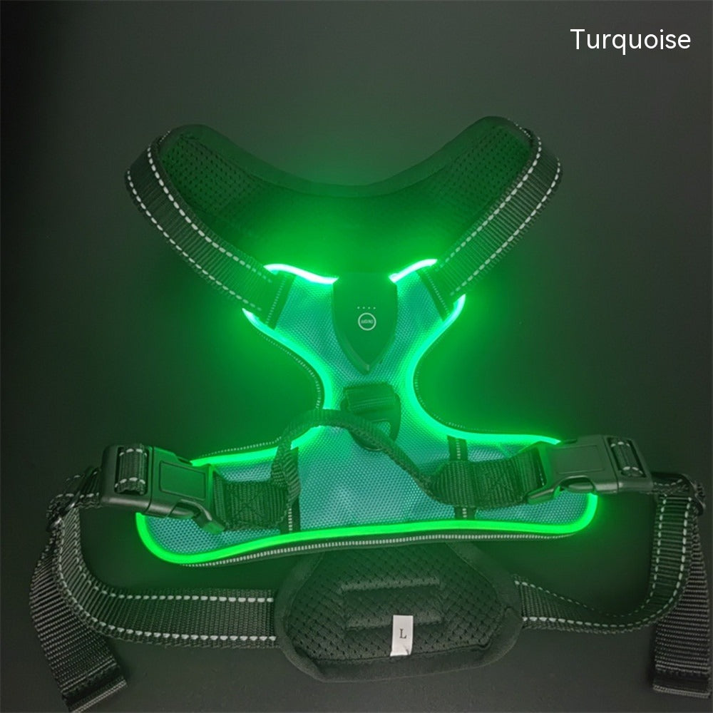 Luminous Dog Vest