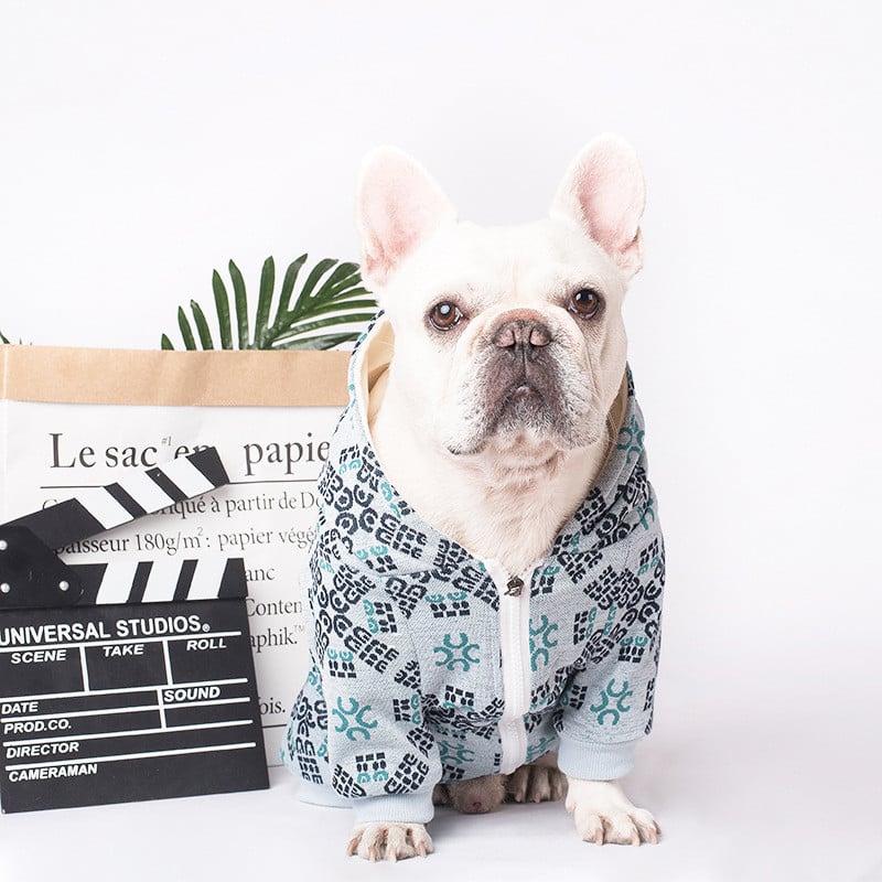 Teddy Dog Pattern Print Pet Apparel