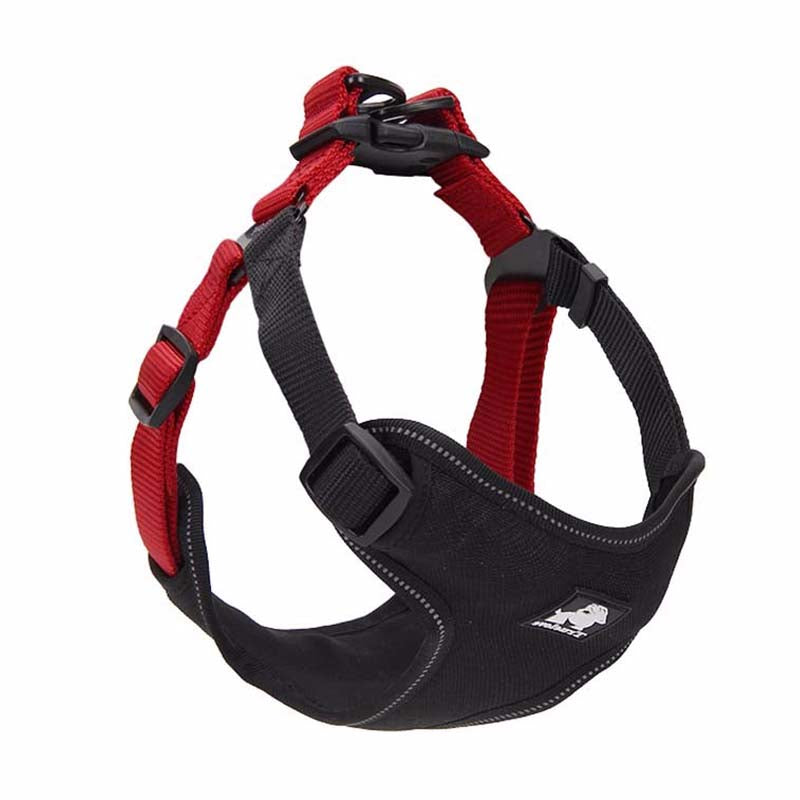 English Bulldog Harness with Leash and Collar for Dogs