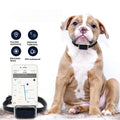 G12 Pet Navigator GPS Tracker for Cats & Dogs