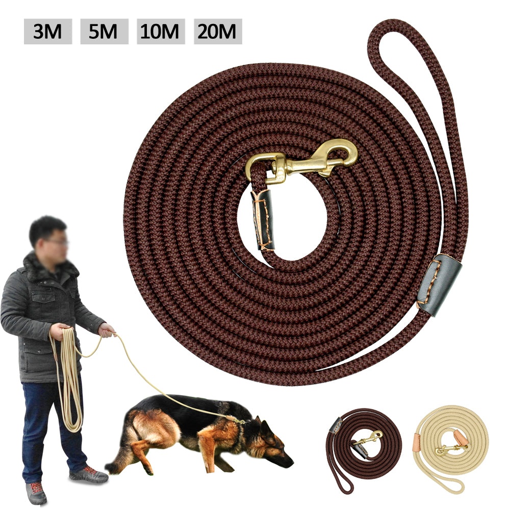 Pet Training Leash for Medium to Large Dogs