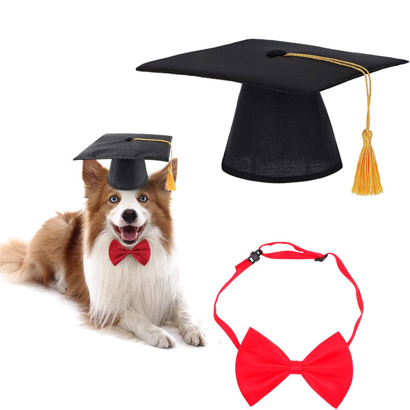 Creative Cat Doctor Hat with Bow Tie