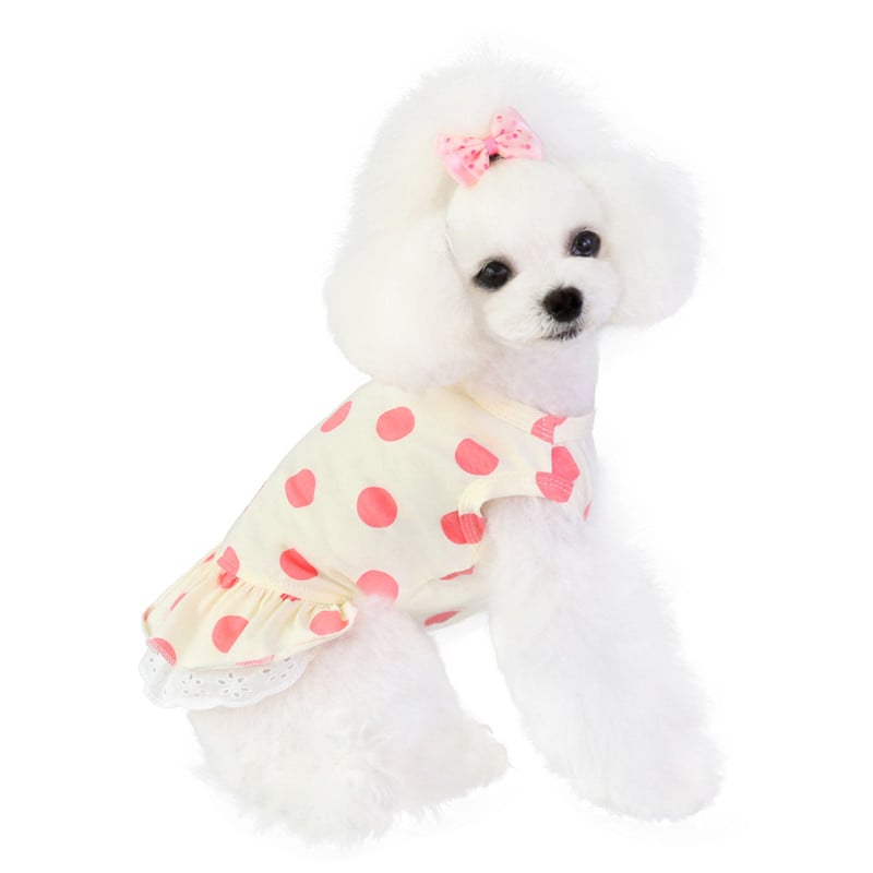 Lace Polka Dot Cute Dog Clothes for Pets