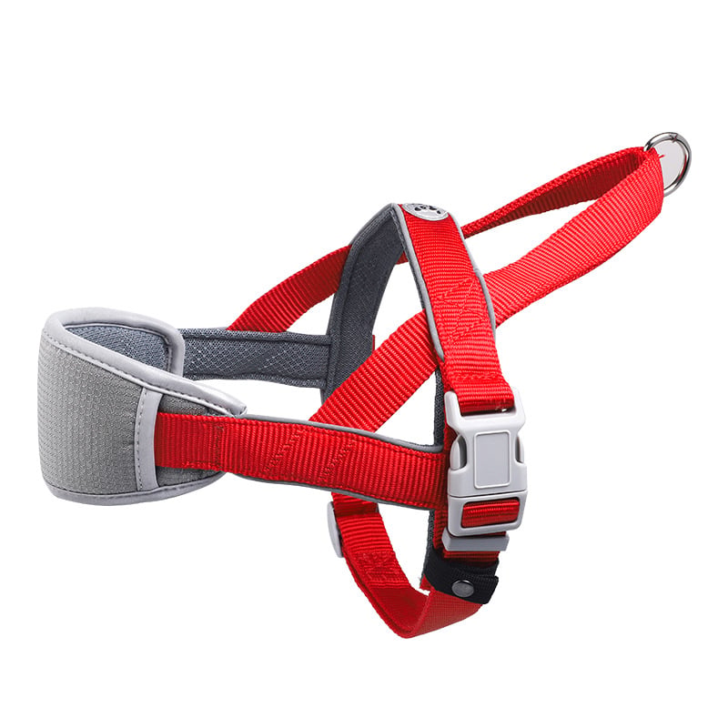 Dog Leash Vest Harness for Comfortable Walking