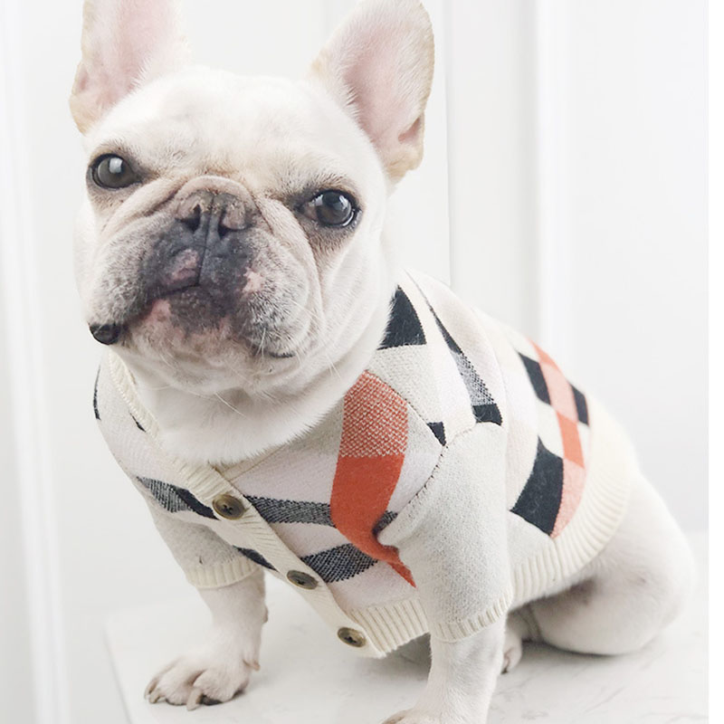 Fashionable Winter Sweater for Dogs and Pets