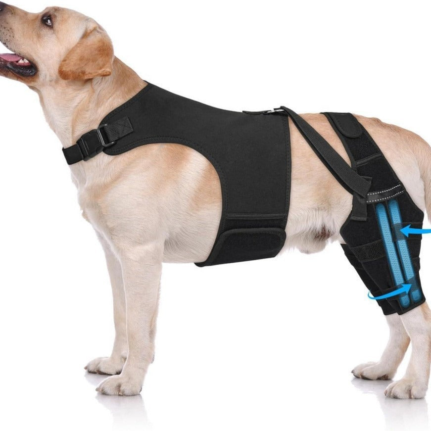 Rear & Hind Leg Cover