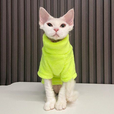 "Fashionable Clothing for Hairless Cats"