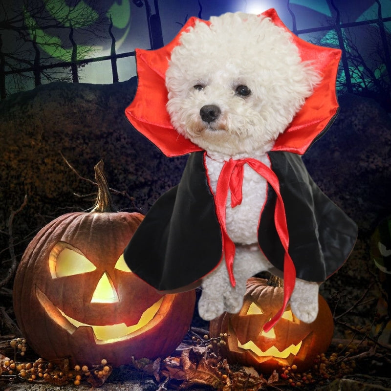 Personalized Trendy Dog Cloak for Holidays & Parties