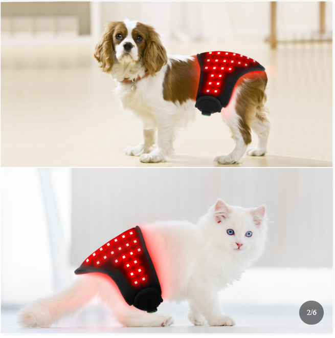 Pet Red Light Therapy Belt