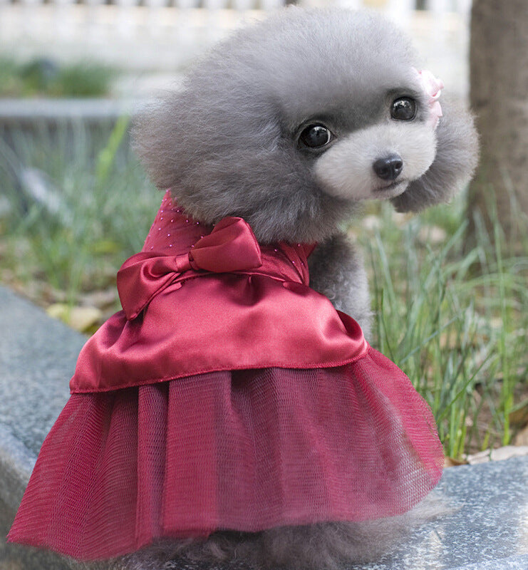 Cat Dress and Dog Wedding Gown and Outfit
