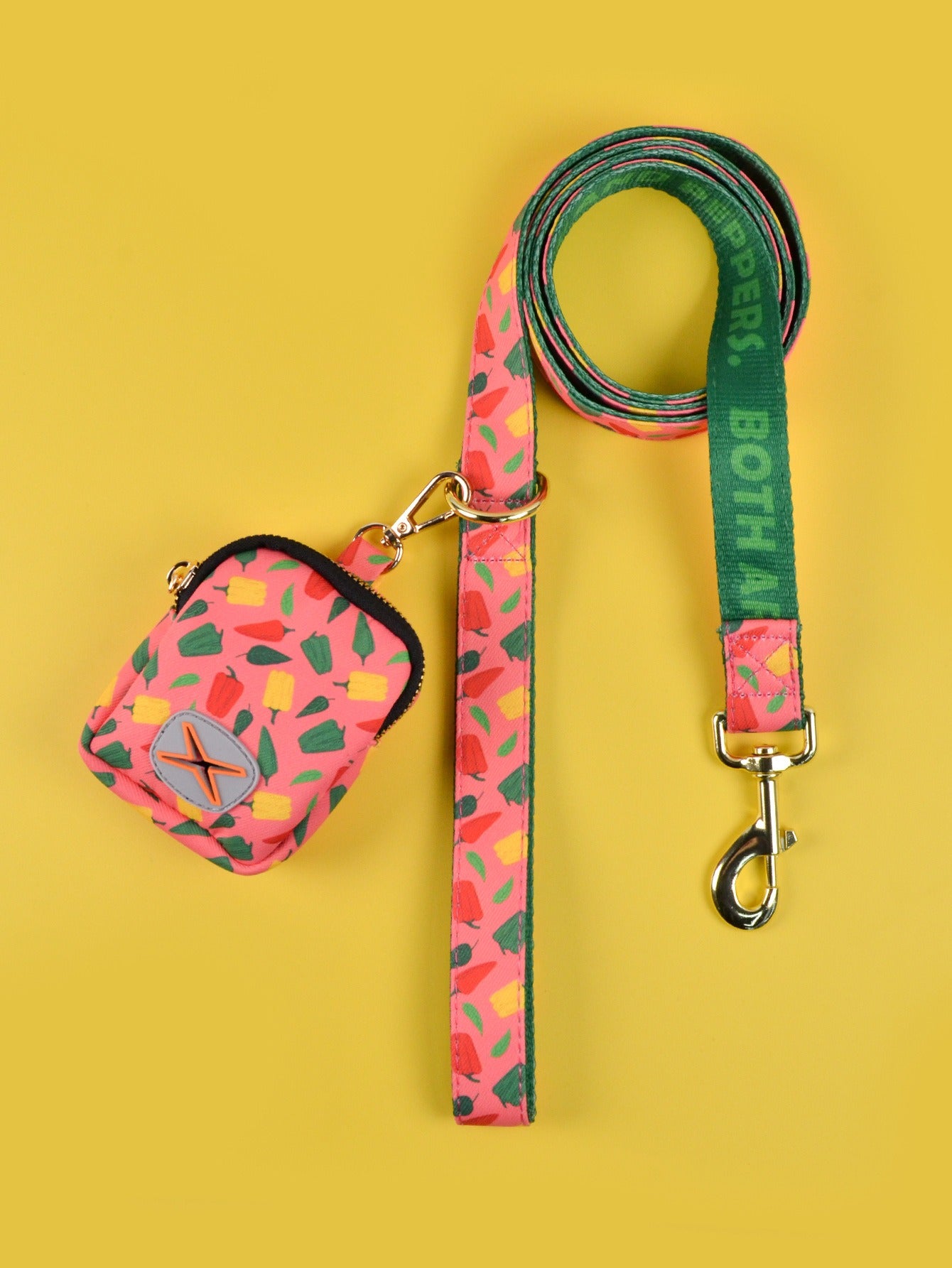 Dog Leash & Poop Bag Holder Set
