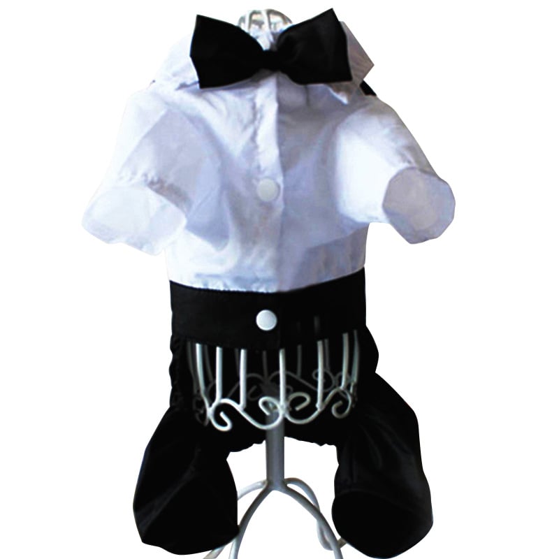 Teddy Dog in British Bow Tie Suit Bib