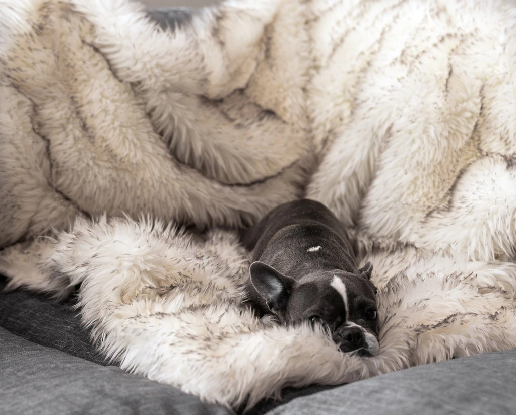 Thick Dog Warm Pad