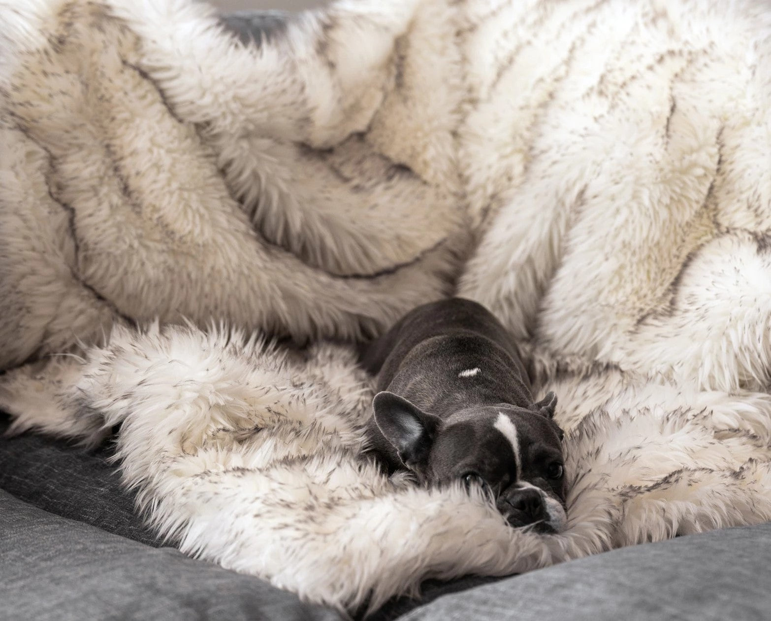 Thick Dog Warm Pad