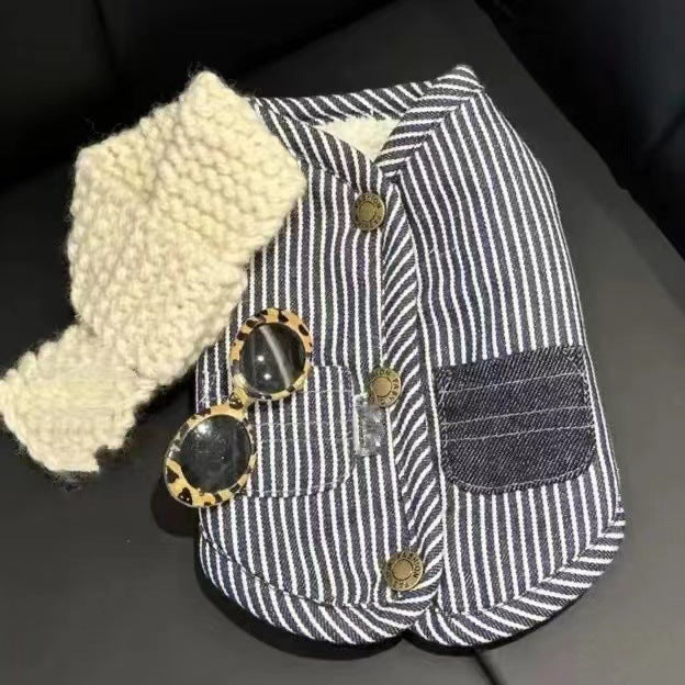 Thick Winter Clothes for Small Dogs (Teddy Style)