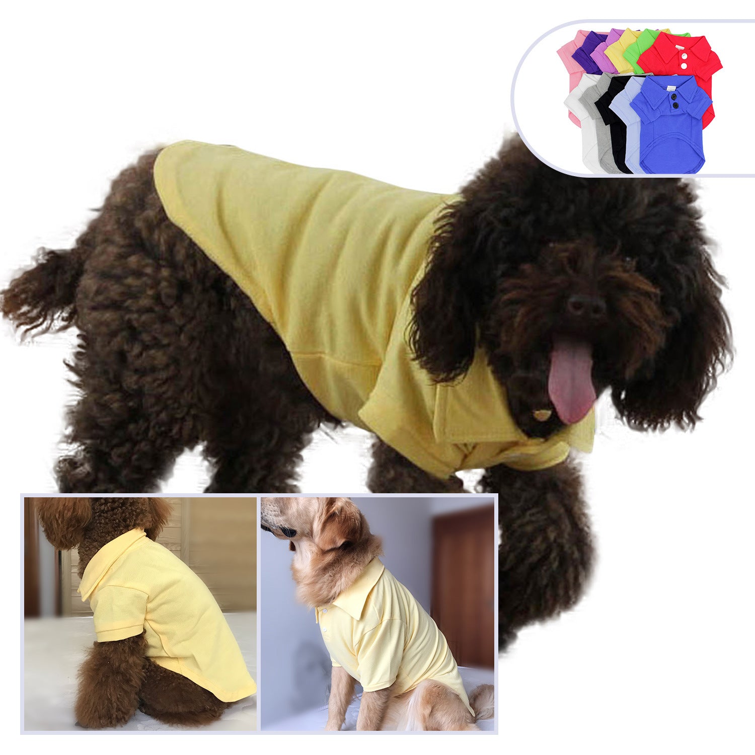 Cotton Dog Polo T-Shirt in Solid Colors for Pets