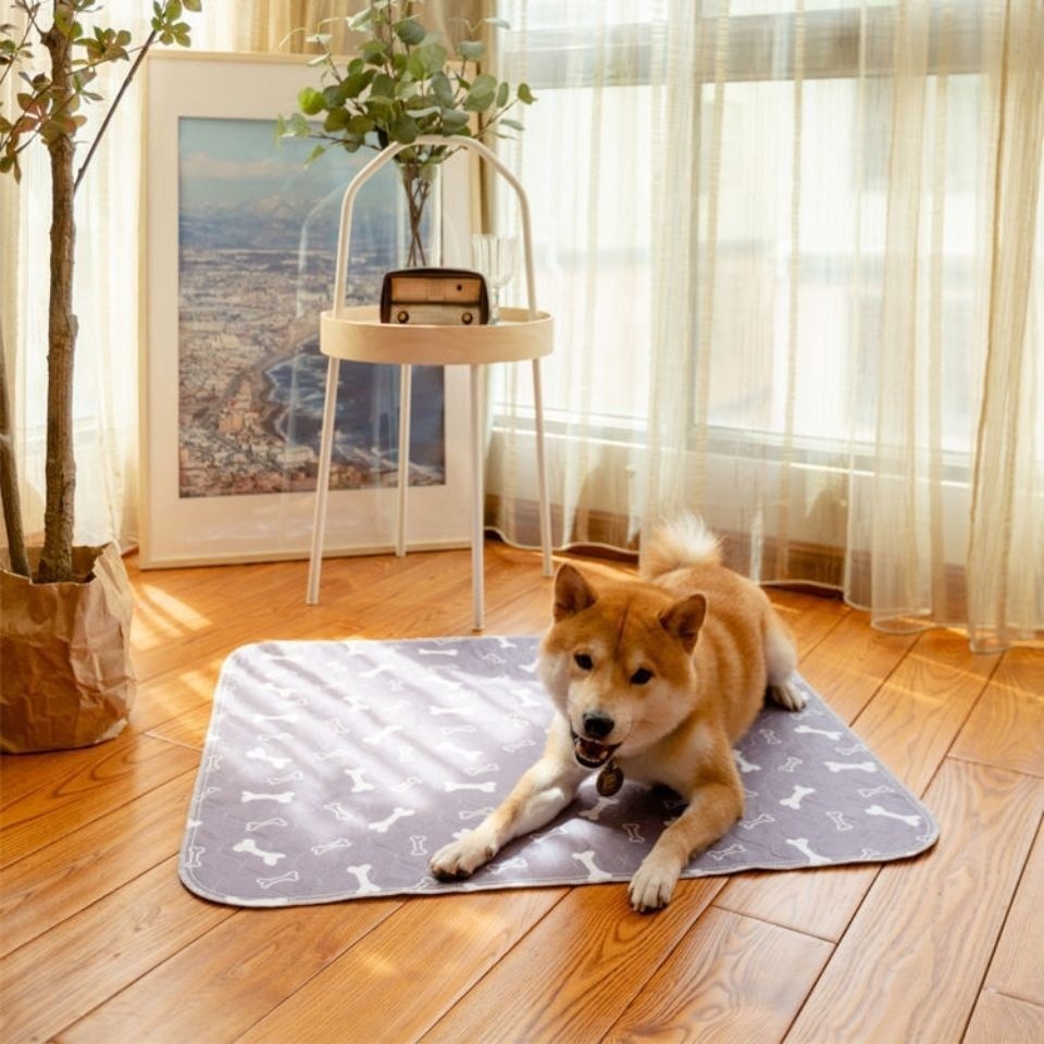 Washable Pet Urine Pad