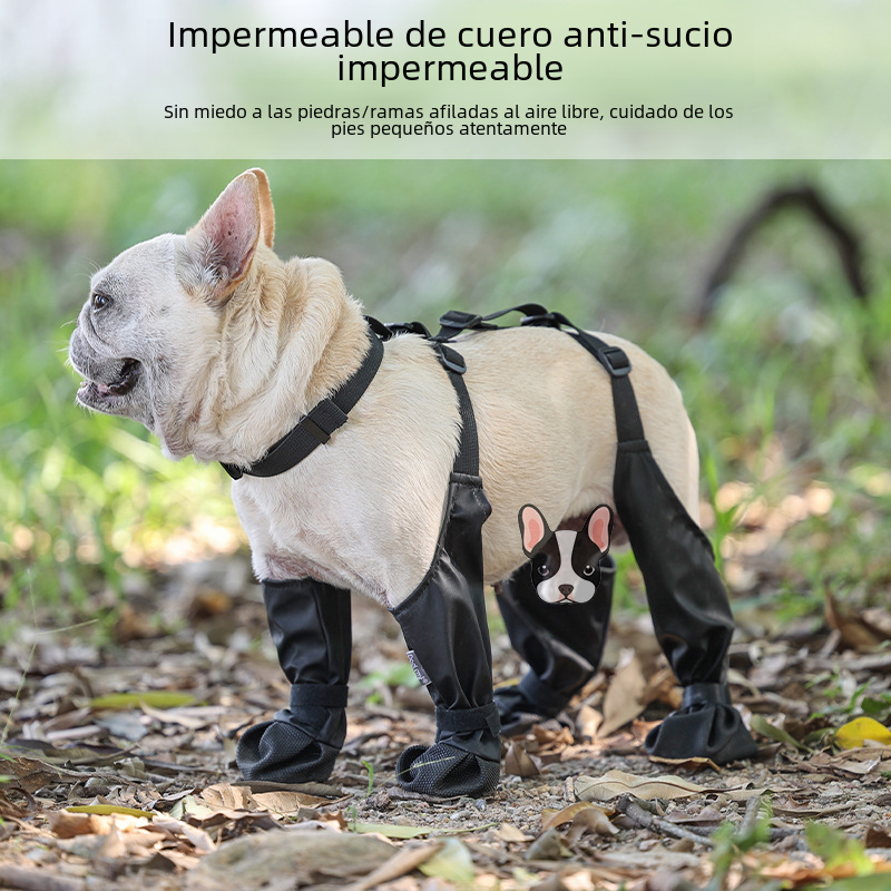 Comfortable Waterproof Dog Shoes for All Seasons