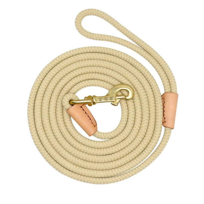 Pet Training Leash for Medium to Large Dogs
