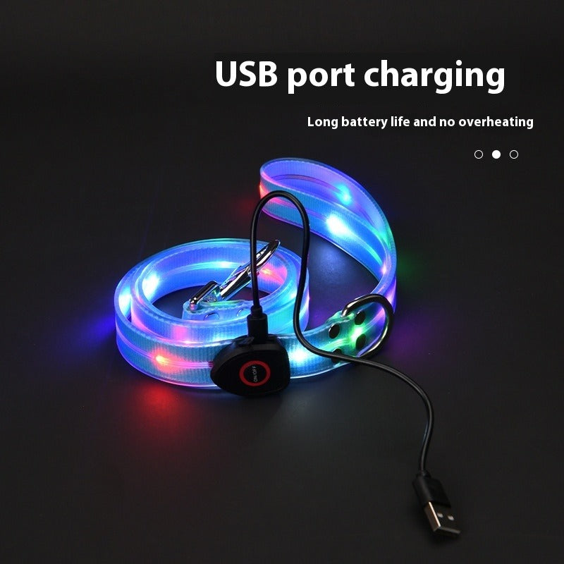 LED Light-Up Pet Collar & Leash