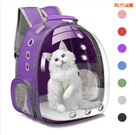 Large Transparent Cat Backpack