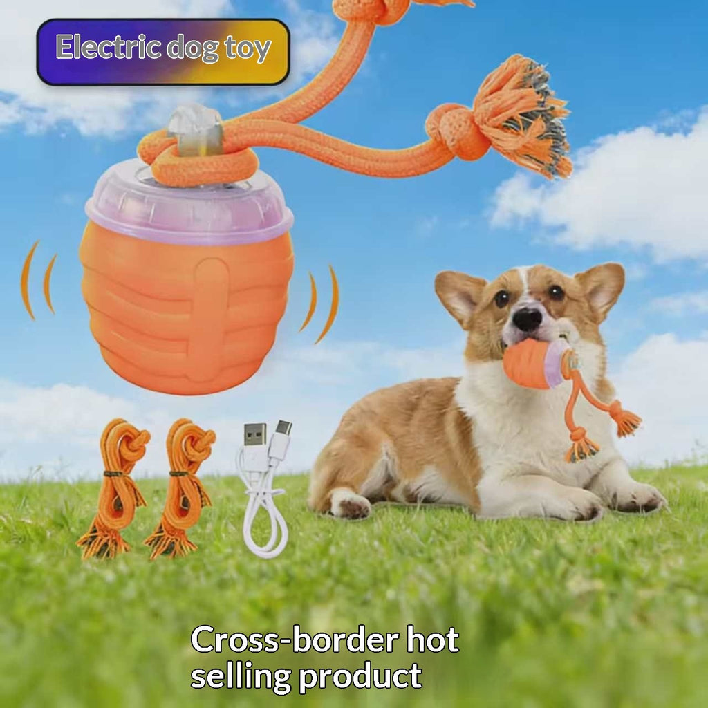 Bite-Resistant Pet Ball