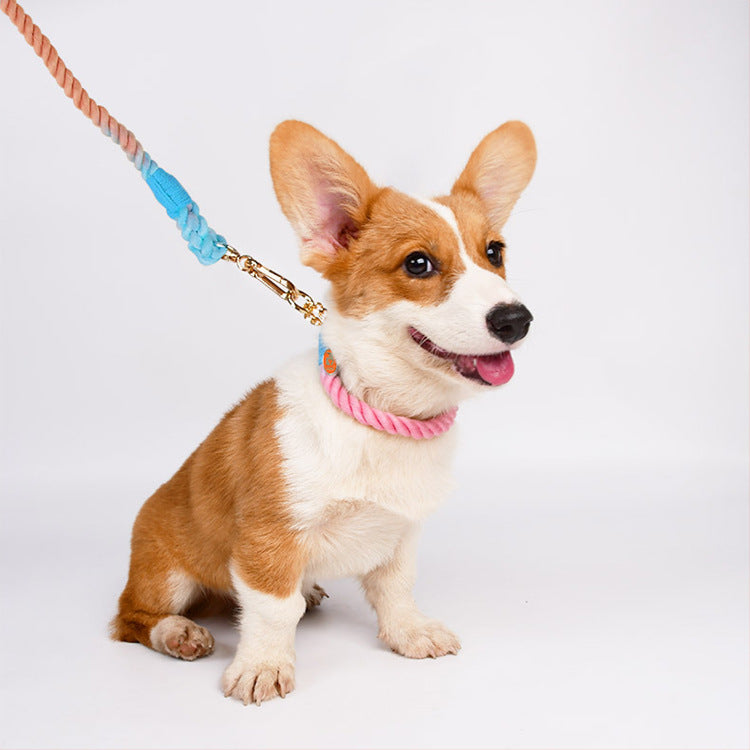 Woven Cotton Dog Leash and Collar Set
