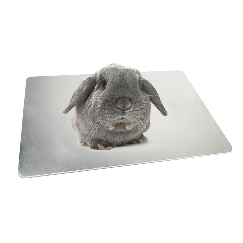 Aluminum Cooling Plate for Pets - Rabbits and Guinea Pigs
