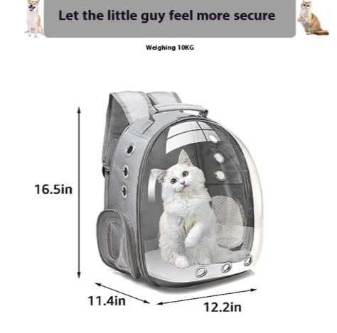 Large Transparent Cat Backpack