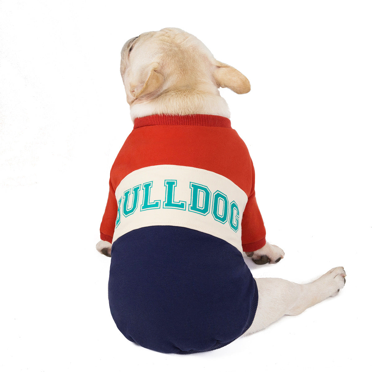 Bulldog Cotton Coat for Autumn and Winter Wear