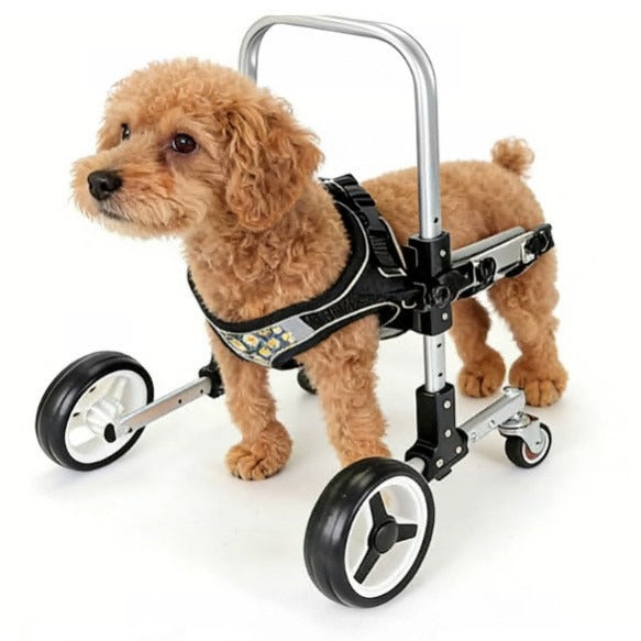 Small Dog Front-Limb Wheelchair