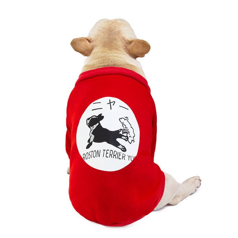 Corgi Winter Plush Sweater for Small & Medium Dogs