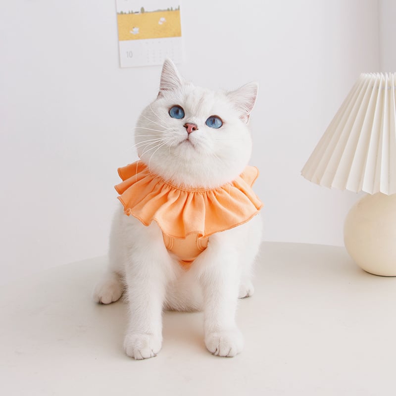 Breathable Summer Sterilization Suit for Cats