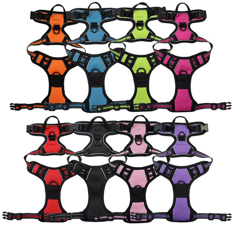 Nylon Dog Harness & Leash Set