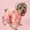Cotton-Padded Jacket and Pants for Cats and Dogs