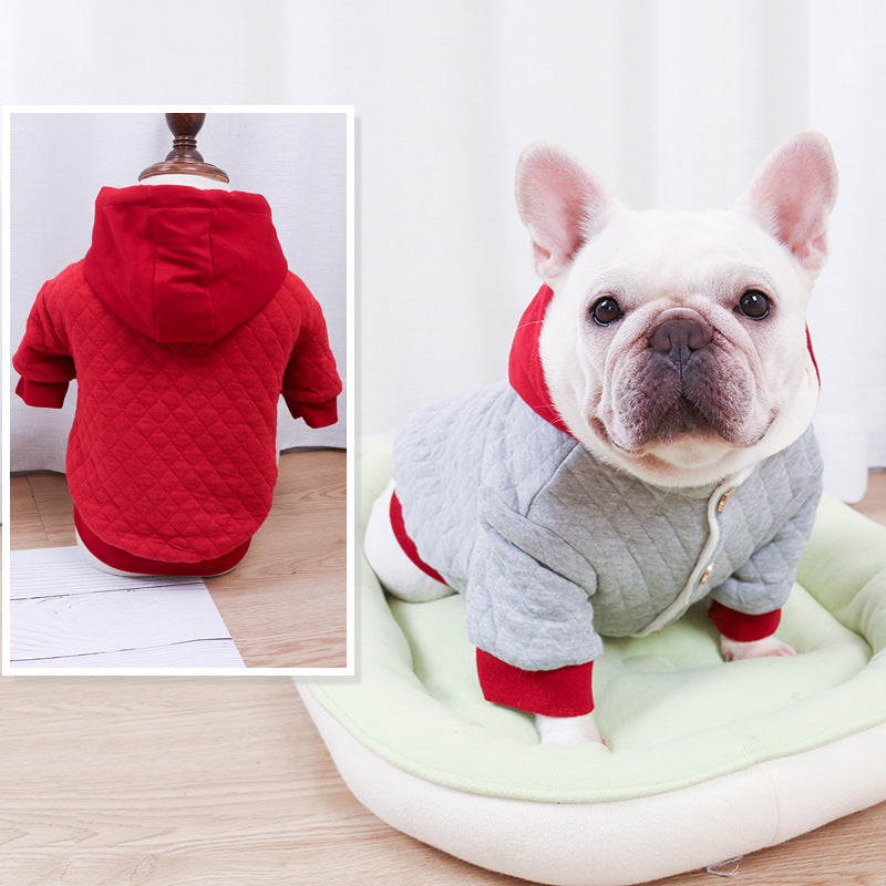 Winter Double Padded Hoodie for Pugs and Fat Dogs
