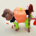 Funny Teddy Poodle Pumpkin Costume for Dogs