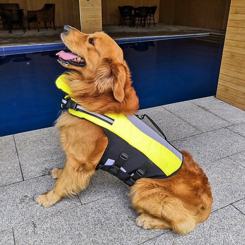 Inflatable Pet Life Jacket for Safe Swimming Dogs