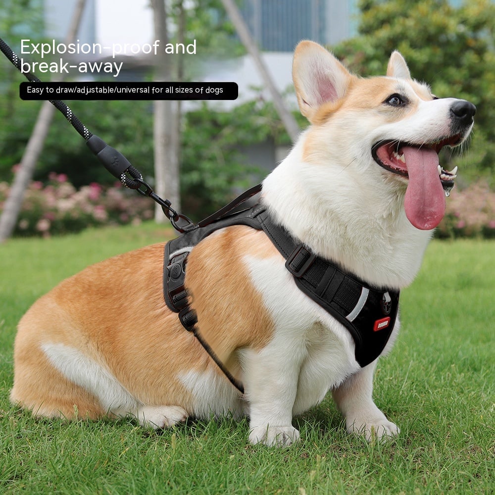 Reflective Vest-Style Pet Hand Holding Rope Harness