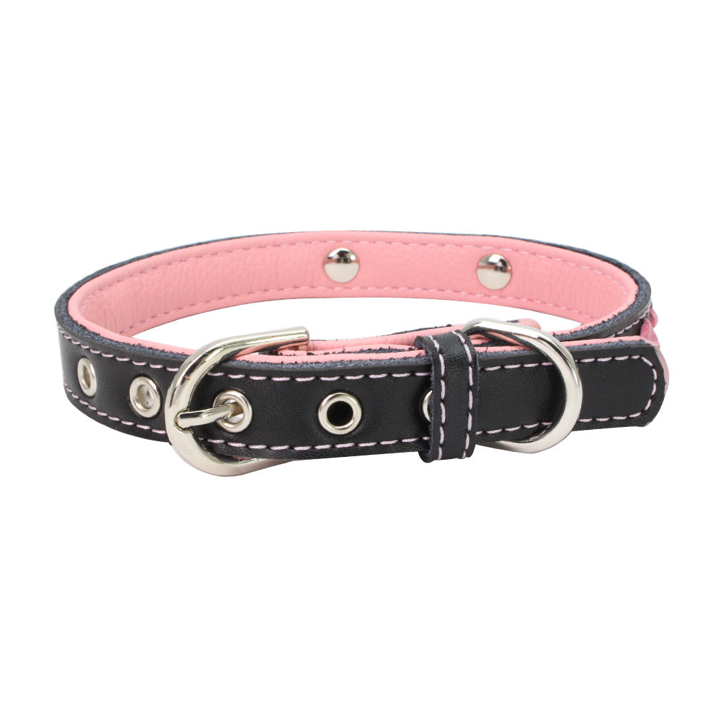 Stainless Steel Dog Collar with Colorful Leather Leash