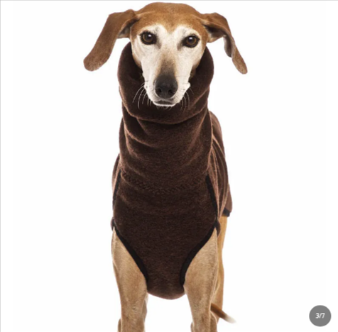 Winter Warm Big Dog High Collar Coat