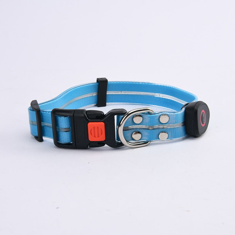 LED Light-Up Pet Collar & Leash