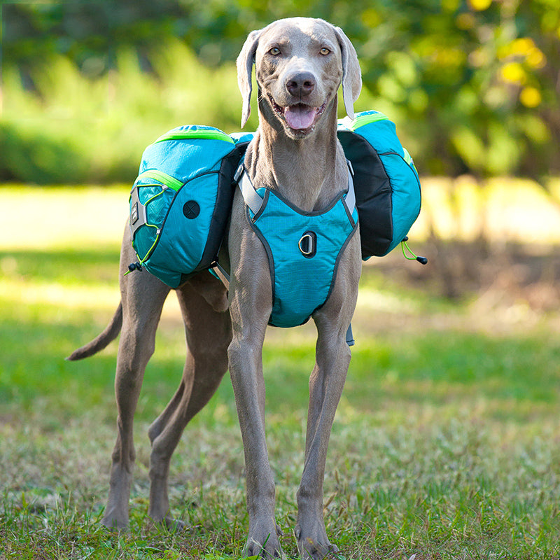 Portable Pet Backpack for Large Dogs (Golden Retriever)