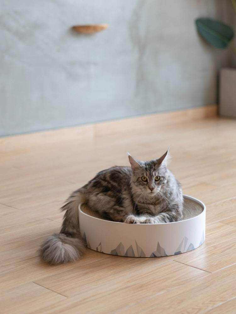 Valley Corrugated Cat Scratcher