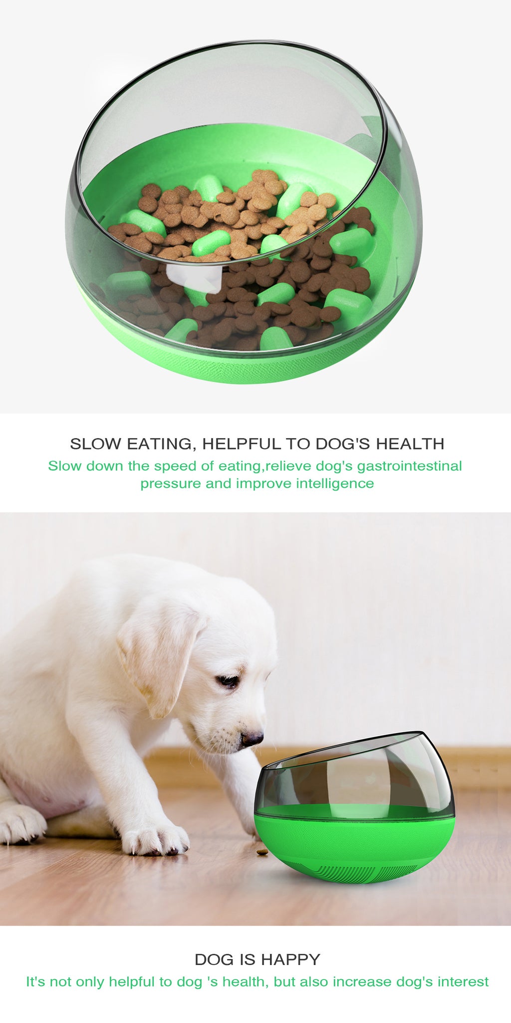Slow Feed Dog Bowl with Anti-Choke Design for Pets