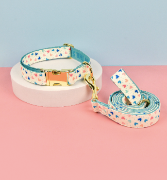 Double-Sided Pet Collar & Leash Set
