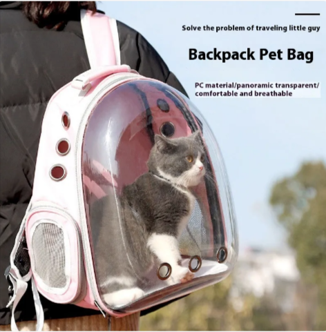 Large Transparent Cat Backpack